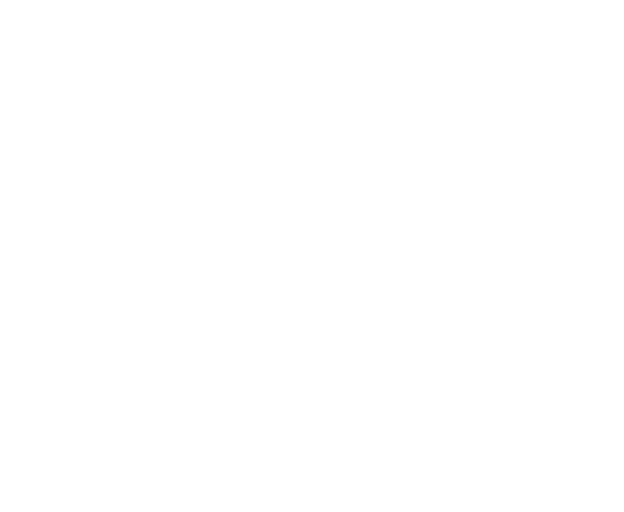 Branch Office Setup Services