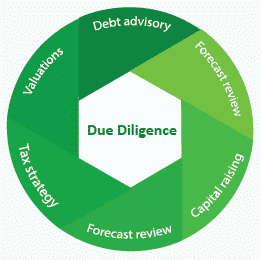 The 6 Key Due Diligence Services